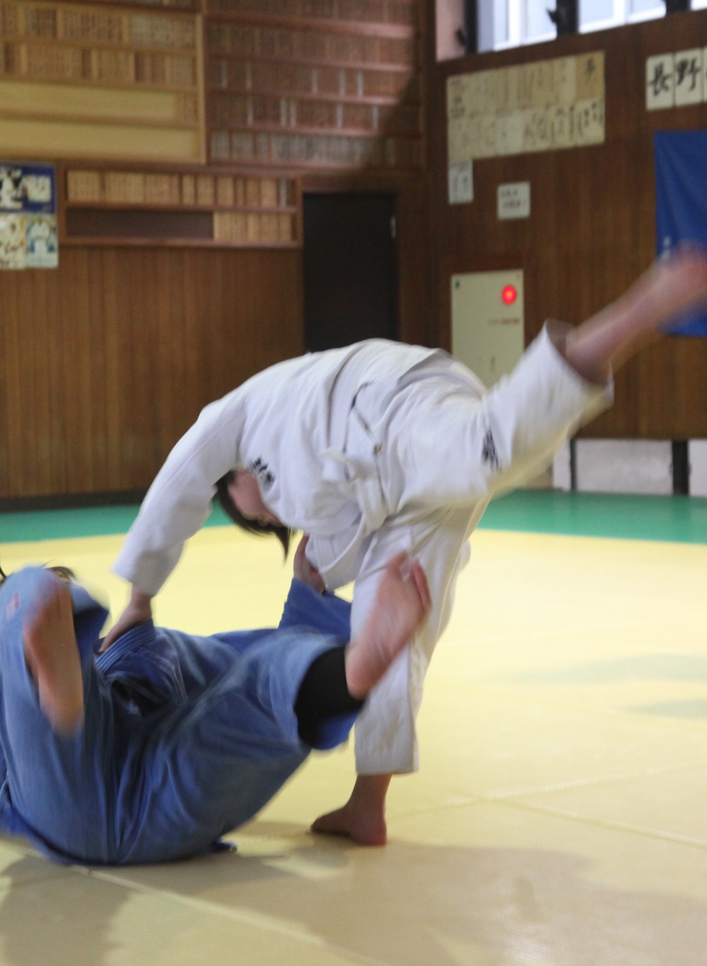 柔道場「大樹舘」