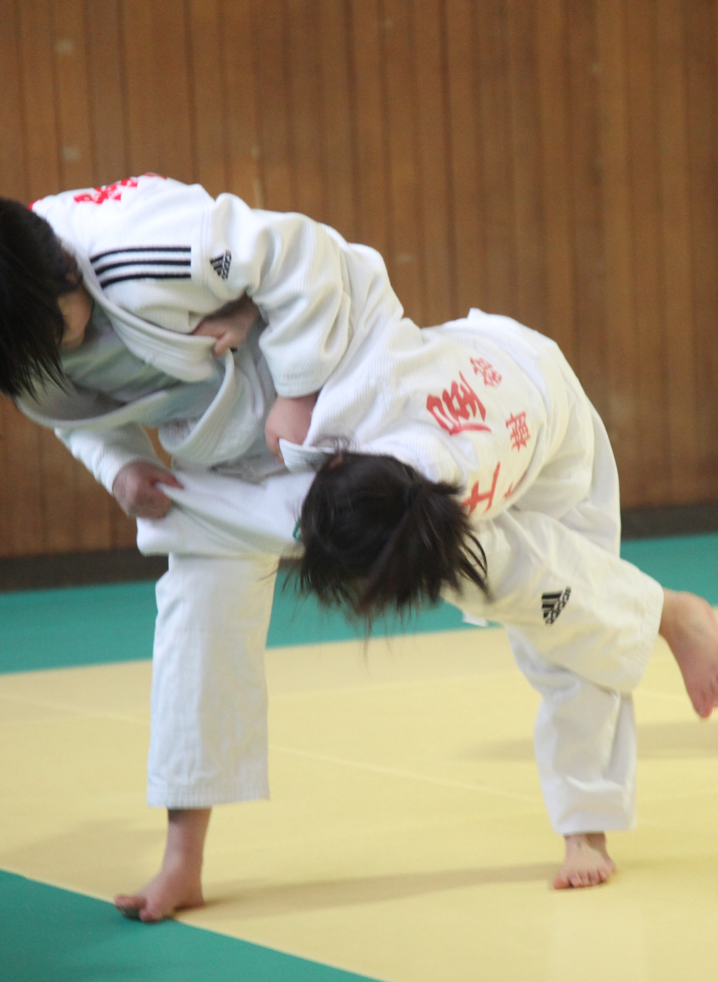 柔道場「大樹舘」